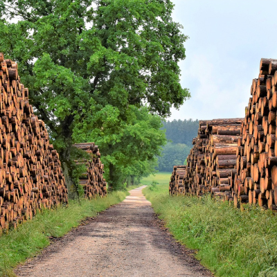 Festo per l’industria del legno